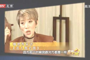 [2010][BTV档案][寂寞女人花-梅艳芳][HDTV.720p.x264-CHDTV][1G][百度盘]