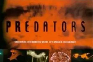 [2000][]英国][掠食者_Predator][1.5G][百度盘]