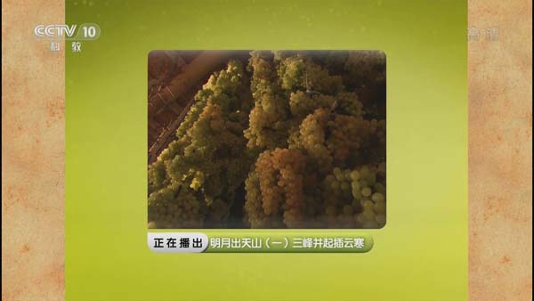 [2015][CCTV10][探索发现20150301_明月出天山][3.75G][百度盘]插图4