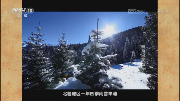 [2015][CCTV10][探索发现20150301_明月出天山][3.75G][百度盘]插图3