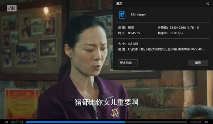 国产剧《大山的女儿》全30集(雷献禾执导)高清4K/国语中字/视频合集【百度云/阿里云网盘下载】插图1