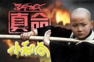 国产剧《真命小和尚(1997)》2部42集(曹骏主演)国语简繁/视频合集