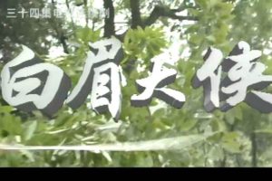 国产剧《白眉大侠》全34集(王文杰执导)高清1080P/国语中字/视频合集【百度云网盘下载】