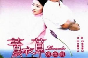 [2001][香港]《薰衣草》[许绍洋 / 陈怡蓉] [国粤中字][15集][33.84GB][百度网盘]