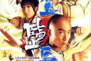 [2009][香港]《碧血盐枭》[马浚伟 / 杨茜尧] [国粤中字][25集][27.28GB][百度网盘]