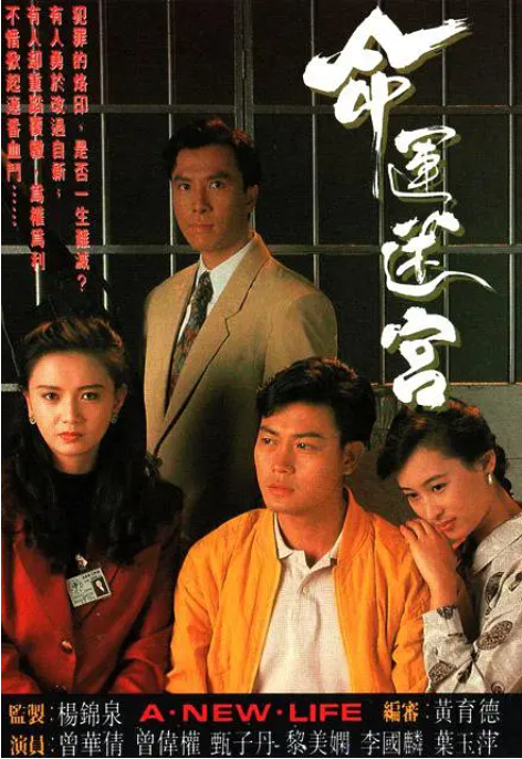 [1991][TVB]《命运迷宫》[7.33GB][百度云]插图