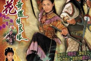 [2004][香港]《烽火奇遇结良缘》[宣萱 / 马德钟] [国粤中字][20集][16GB][百度网盘]