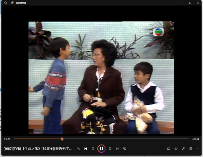 [1987][ 中国香港][TVB]《生命之旅》[46.61GB][百度云]插图1