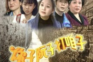 [1995][香港]《你子阮子打咱子》[卓依婷 / 刘林][国粤中字][50集][43.13GB][百度网盘]