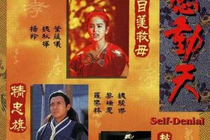 [1995][香港]《孝感动天》[蔡少芬 / 罗嘉良][国粤中字][20集][39.51GB][百度网盘]