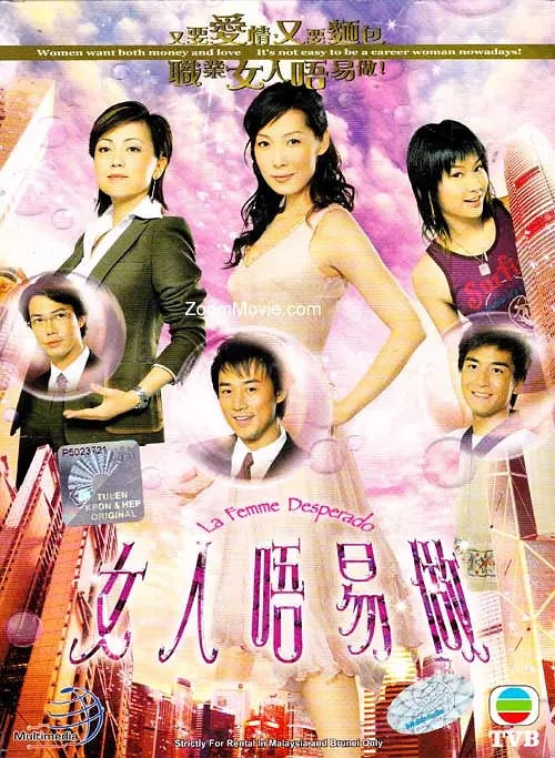 [2006][香港]《女人不易做》[吴美珩 / 林峯][国粤中字][22集][17.11GB][百度网盘]插图