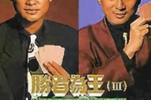 [1993][香港]《胜者为王3》[郑忠泰 / 刘枝华][国粤中字][30集][24.70GB][百度网盘]