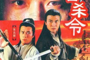 [1996][香港]《十三密杀令》[钱小豪 / 张兆辉][国粤中字][20集][16.25GB][百度网盘]