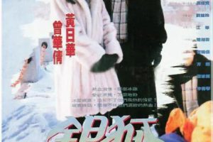 [1993][香港]《银狐》[黄日华 / 江华][国粤中字][30集][41.50GB][百度网盘]