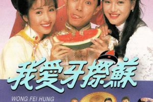 [1992][香港]《我爱牙擦苏》[张卫健 / 黎姿][国粤中字][20集][16.96GB][百度网盘]