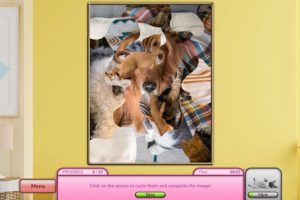 [我爱找小猫小狗 I Love Finding Cats & Pups Collector’s Edition for Mac][v1.09 英文原生版]