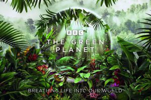 《绿色星球/The Green Planet》全5集(BBC出品)高清4K/原声中英双字/视频合集【百度云网盘下载】