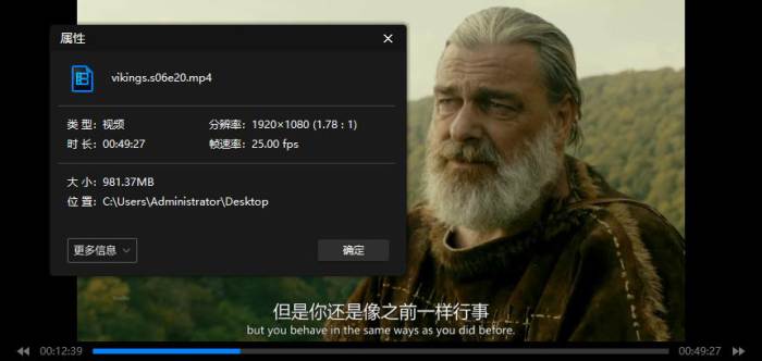 美剧《维京传奇/Vikings》全6季(287.01GB)高清/英语中字/视频合集【百度云网盘下载】插图1