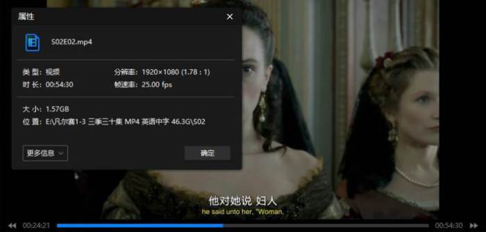 法剧《凡尔赛/Versailles》1-3季(乔治·布莱主演)高清/英语中字/视频合集【百度云网盘下载】插图1