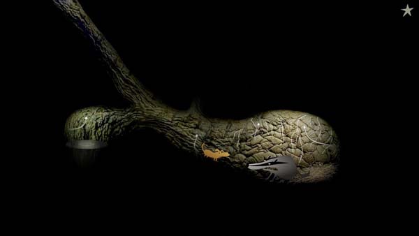 [银河历险记2 Samorost 2 for Mac][v2.33.0 中文原生版][益智解谜]插图4