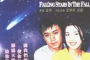 [2001][中国大陆] 《流星雨》[国语中字][2.05GB][ 百度网盘]