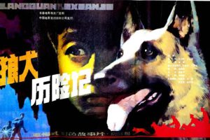 [1985][中国大陆] 《狼犬历险记》[国语中字][5.40GB][ 百度网盘]