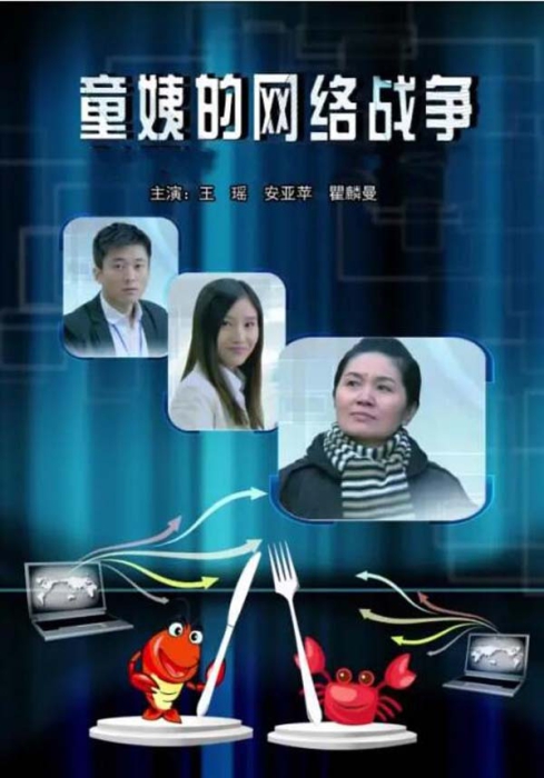 [2012][中国大陆]《童姨的网络战争》[国语中字][4.51GB][百度网盘]插图