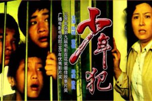 [1985][中国大陆]《少年犯》[国语中字][5.31GB][百度网盘]