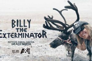 《灭虫大师 Billy the Exterminator》[1080P/MKV][第4季全12集/英语中英双字/官方纯净版][26G][百度网盘]