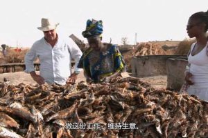 《稀奇古怪的食物 Bizarre Foods with Andrew Zimmern》[1080P/MKV][第3季全11集 英语外挂中字][20.8G][百度网盘]