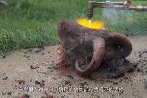 《稀奇古怪的食物 Bizarre Foods with Andrew Zimmern》[1080P/MKV][第2季全32集 英语外挂中字][60.7G][百度网盘]