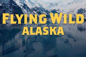 《飞越狂野阿拉斯加 Flying Wild Alaska》[1080P/MKV][第1-3季全31集 英语中英双字纪录片 官方纯净版][81.7G][百度网盘]