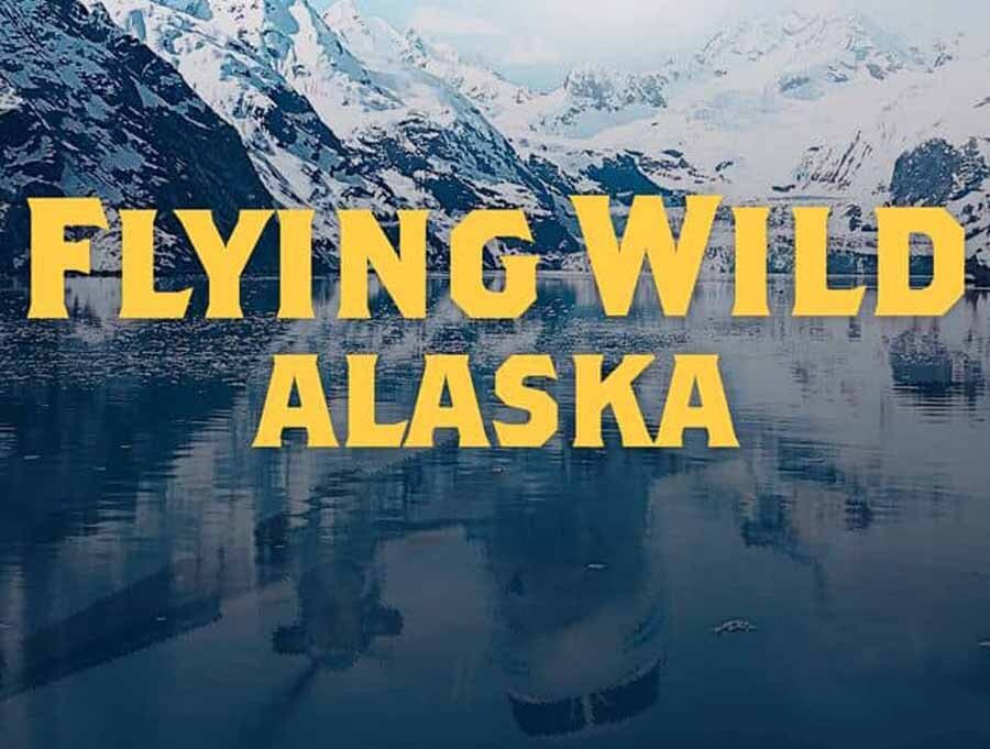 《飞越狂野阿拉斯加 Flying Wild Alaska》[1080P/MKV][第1-3季全31集 英语中英双字纪录片 官方纯净版][81.7G][百度网盘]插图