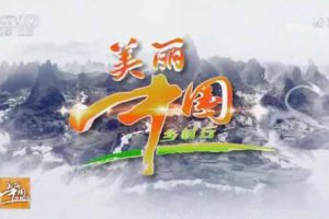 《美丽中国乡村行2017》[标清][合集][74.03G][百度网盘]