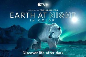 《夜色中的地球 Earth at Night in Color》[2K/1080i][第2季中字][42.33G][百度网盘]