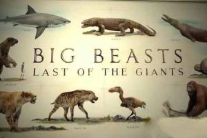 《终极巨兽档案 Big Beasts: Last of the Giants》[TS/蓝光][全3集][9.09G][百度网盘]