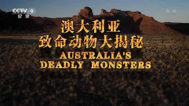 《澳大利亚致命动物大揭秘 Australia‘s Deadly Monsters》[TS/蓝光][全3集中字][9.45G][百度网盘]插图