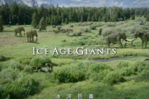 《冰河巨兽 Ice Age Giants》[TS/蓝光][全3集][4.5G][百度网盘]