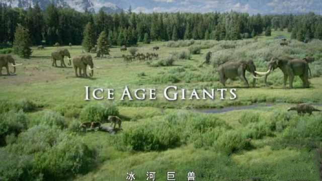 《冰河巨兽 Ice Age Giants》[TS/蓝光][全3集][4.5G][百度网盘]插图