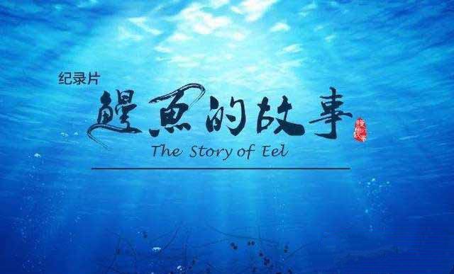 《鳗鱼的故事 The Story of Eel》[TS/蓝光][全3集][5.15G][百度网盘]插图