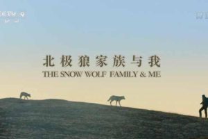 《北极狼家族与我 Snow Wolf Family and Me》[TS/蓝光][全3集中字][10.24G][百度网盘]