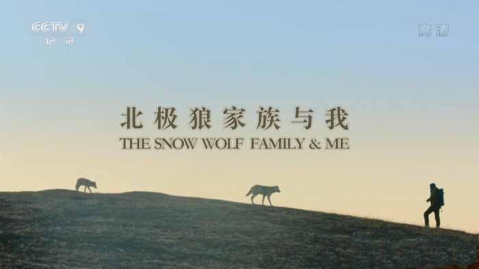 《北极狼家族与我 Snow Wolf Family and Me》[TS/蓝光][全3集中字][10.24G][百度网盘]插图