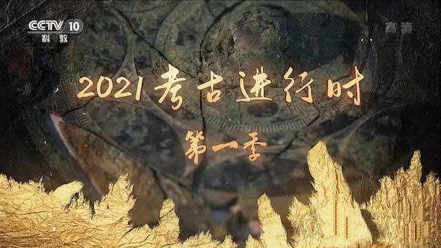 《2021考古进行时》[TS/蓝光][第1季][百度网盘]插图