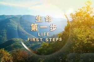 《生命第一步 Life First Steps》[TS/蓝光][全3集中字][百度网盘]