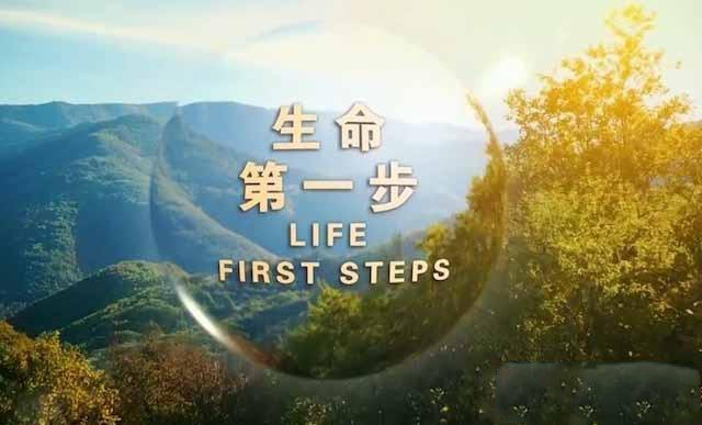 《生命第一步 Life First Steps》[TS/蓝光][全3集中字][百度网盘]插图