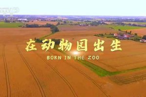 《在动物园出生 Born in the Zoo》[TS/蓝光][全1集中字][百度网盘]