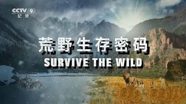 《荒野生存密码 Survive the Wild》[TS/蓝光][全6集中字][百度网盘]插图