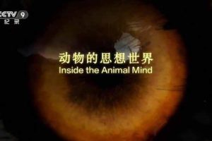 《动物的思想世界 Inside the Animal Mind》[TS/蓝光][全3集中字][百度网盘]