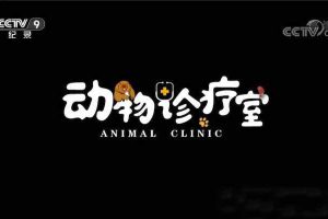 《动物诊疗室 Animal Clinic》[TS/蓝光][全5集][百度网盘]