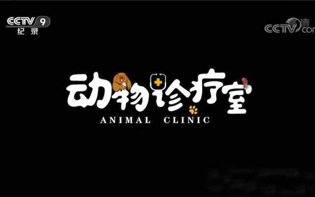 《动物诊疗室 Animal Clinic》[TS/蓝光][全5集][百度网盘]插图